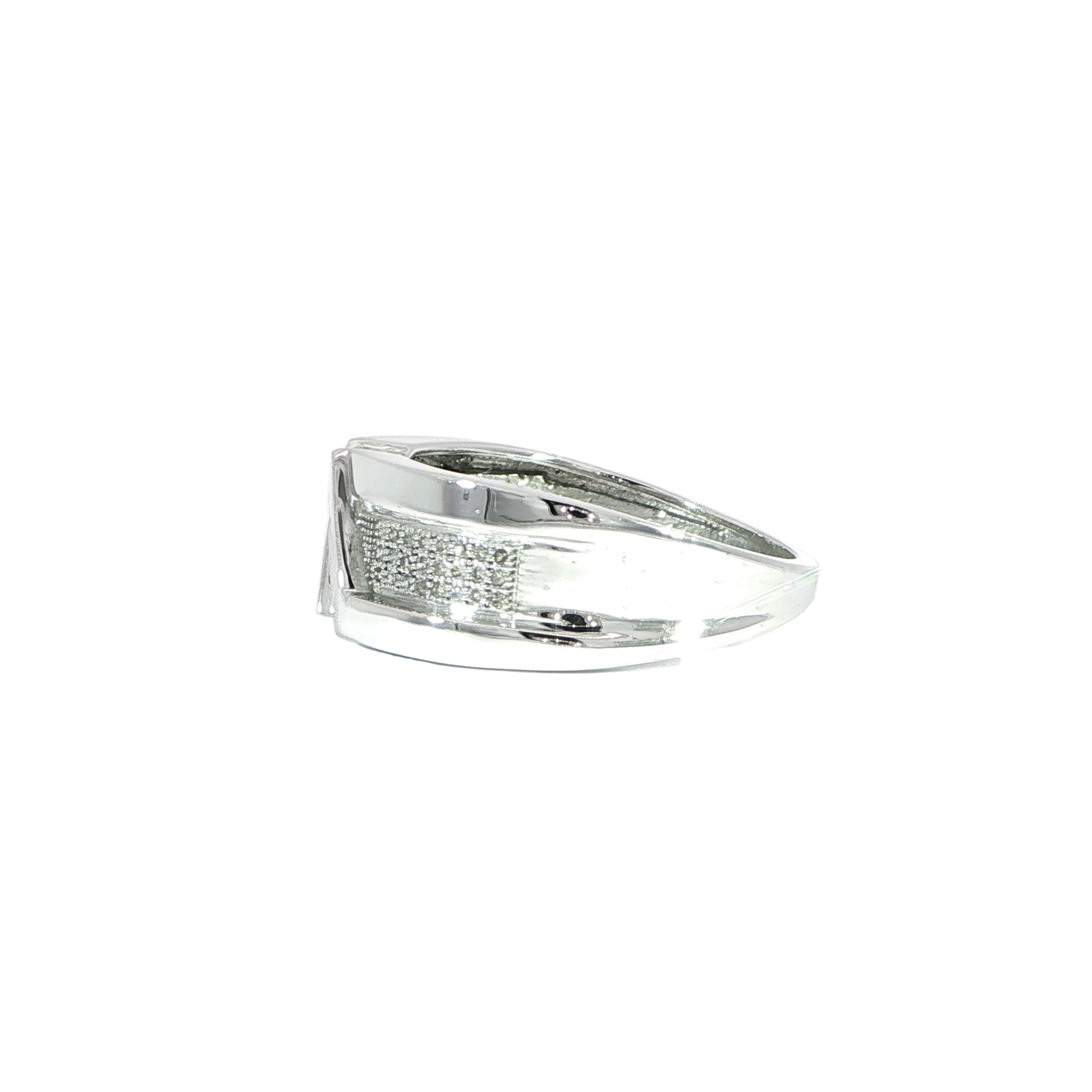 10K White Gold Natural Diamond Band Ring