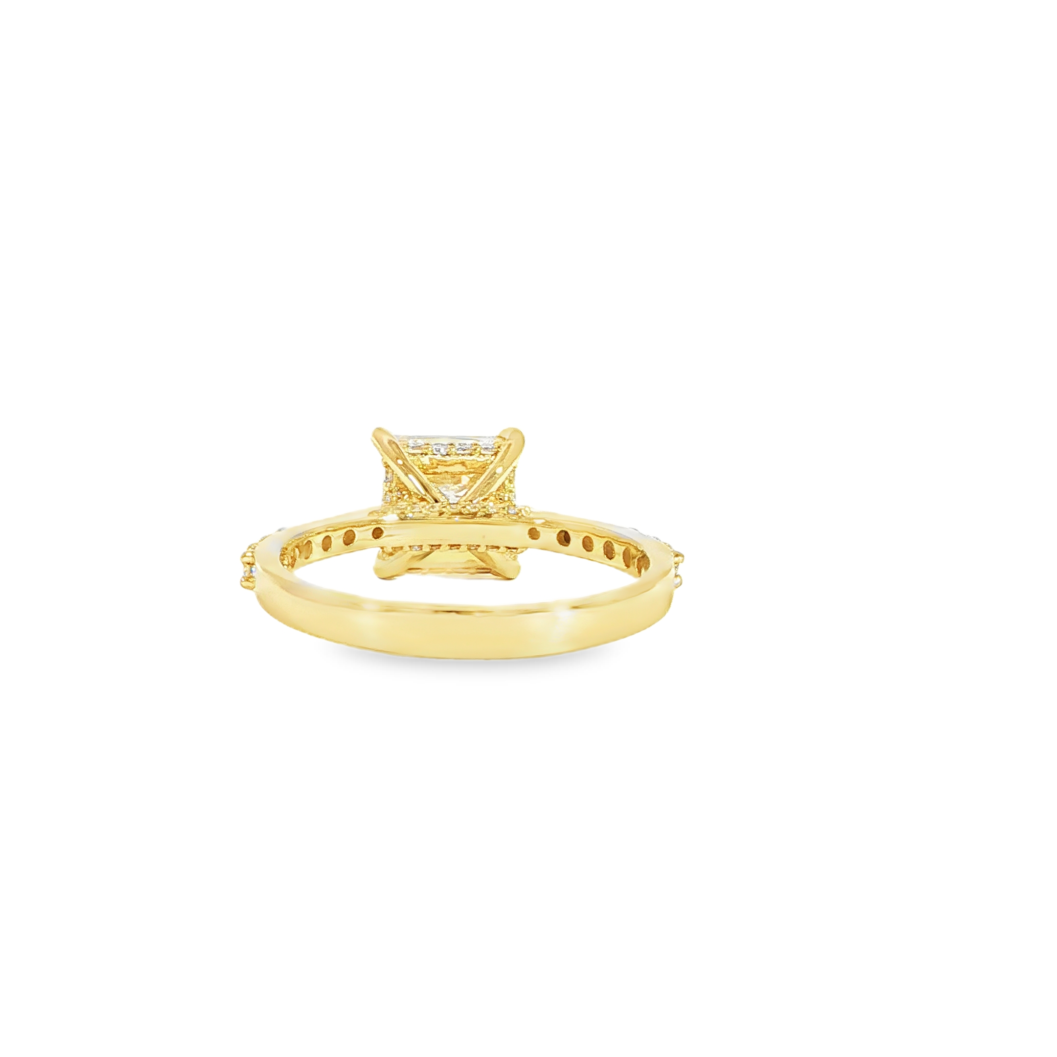 Back view hidden halo engagement ring with princess diamond center