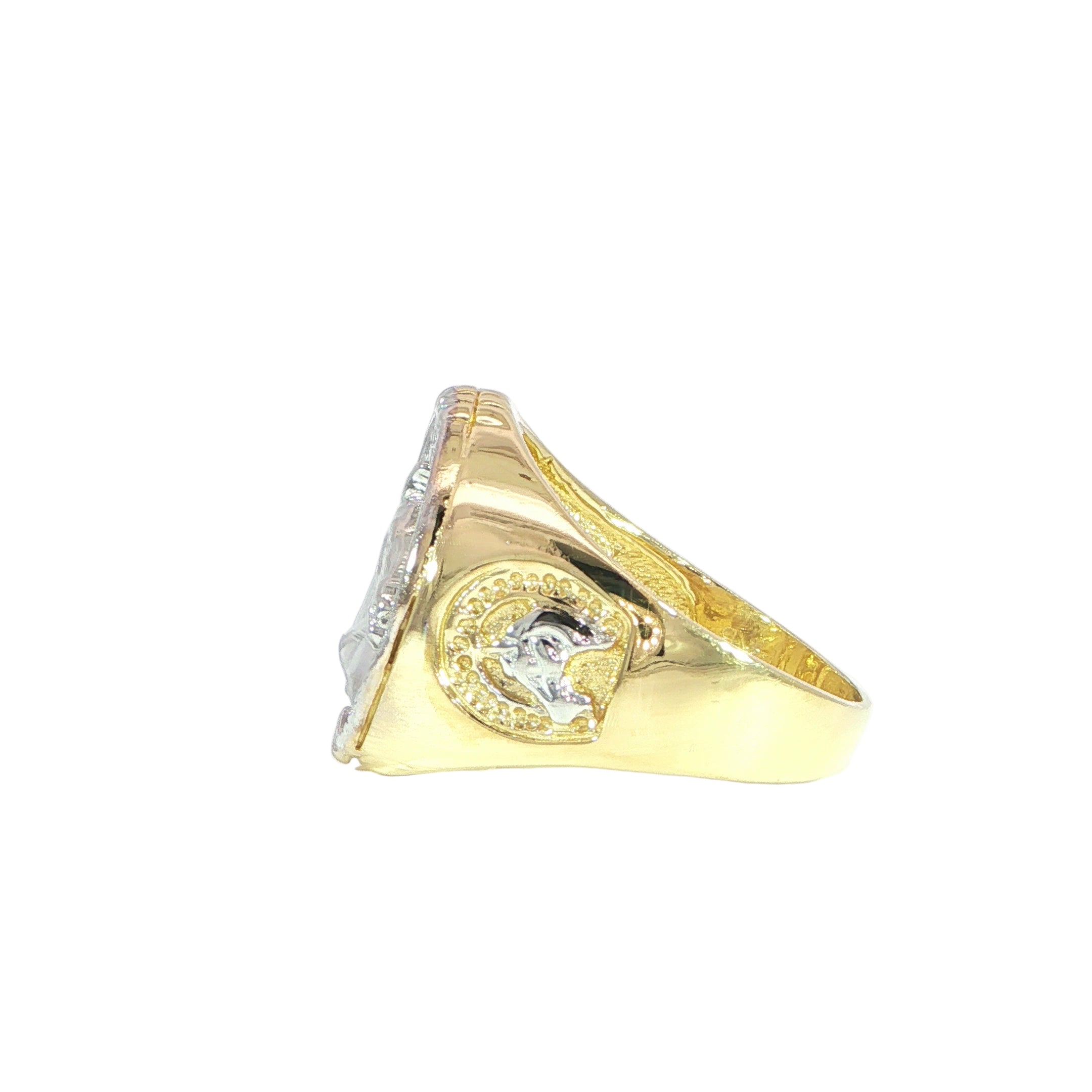 Bold western style horse fashion ring side